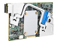 HPE Smart Array P246br/1GB FBWC - Contrôleur de stockage (RAID) - 4 Canal - SATA 6Gb/s / SAS 12Gb/s - RAID RAID 0, 1, 5, 6, 10 - PCIe 3.0 x8 - avec HP Smart Storage Battery 726793-B21