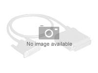 Intel - Câble interne SAS - SAS 12Gbit/s - direct - 4 voies - Disque dur SAS Mini 4x (SFF-8643) (M) pour Disque dur SAS Mini 4x (SFF-8643) (M) - 73 cm (pack de 2) AXXCBL730HDHD